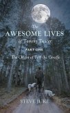 Awesome Lives of Tommy Twicer (eBook, ePUB)