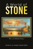 World of Stone (eBook, ePUB)