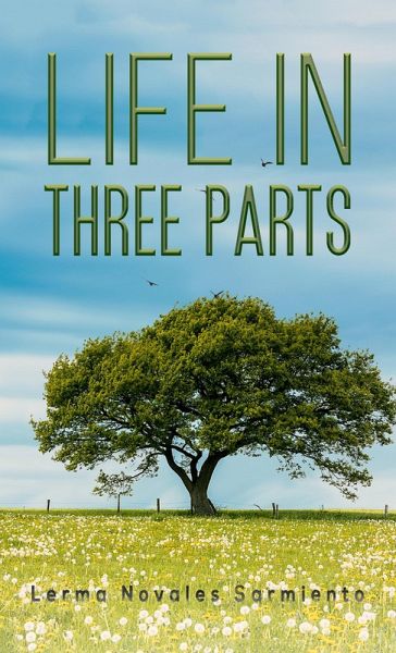 Life in Three Parts (eBook, ePUB)