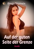 Auf der guten Seite der Grenze (eBook, ePUB)