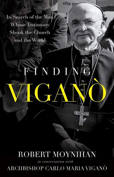 Finding Vigano (eBook, ePUB)