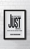 No Pictures, Just Words (eBook, ePUB)