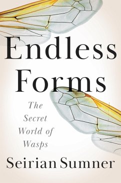 Cover Endless Forms (eBook, ePUB)