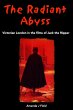 Radiant Abyss (eBook, ePUB) - Bild 1