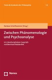 Zwischen Phänomenologie und Psychoanalyse (eBook, PDF)