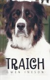 Traigh (eBook, ePUB)