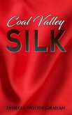 Coal Valley Silk (eBook, ePUB)