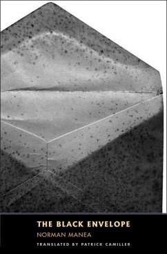 Cover The Black Envelope (eBook, PDF)