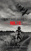 Enemy Alien No. 72 (eBook, ePUB)