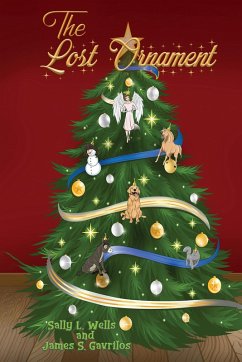 Cover Lost Ornament (eBook, ePUB)