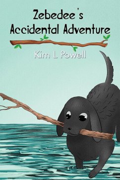 Cover Zebedee's Accidental Adventure (eBook, ePUB)