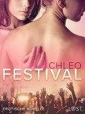 Festival - Erotische Novelle (eBook, ePUB)