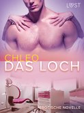 Das Loch - Erotische Novelle (eBook, ePUB)