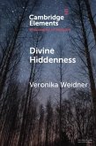 Divine Hiddenness (eBook, ePUB)