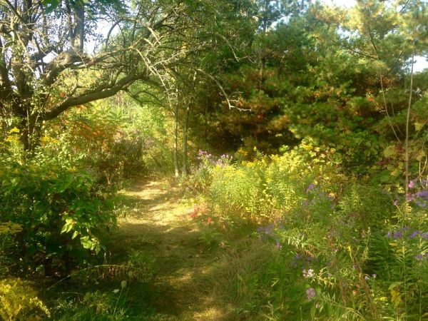 Salvation, it's Time (eBook, ePUB)