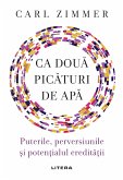 Ca doua picaturi de apa (eBook, ePUB)