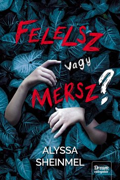 Felelsz vagy mersz? (eBook, ePUB) - Sheinmel, Alyssa