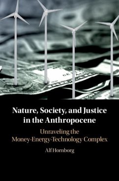 Cover Nature, Society, and Justice in the Anthropocene (eBook, ePUB)