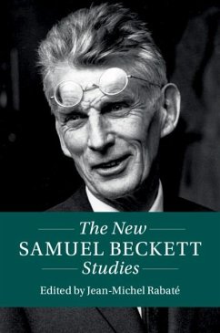 Cover New Samuel Beckett Studies (eBook, ePUB)
