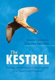 Kestrel (eBook, ePUB)