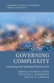 Governing Complexity (eBook, ePUB)