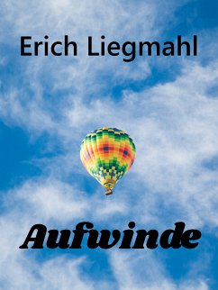 Aufwinde (eBook, ePUB)