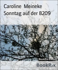 Cover Sonntag auf der B209 (eBook, ePUB)
