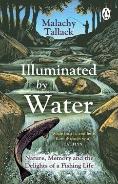 Illuminated By Water (eBook, ePUB) - Tallack, Malachy