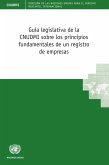 Guía legislativa de la CNUDMI sobre los principios fundamentales de un registro de empresas (eBook, PDF)