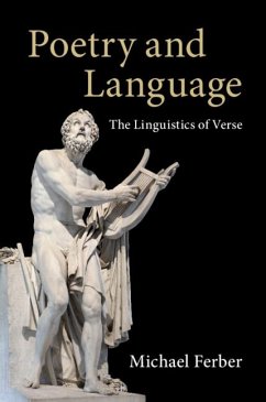 Poetry and Language (eBook, ePUB) - Ferber, Michael