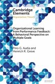 Organizational Learning from Performance Feedback: A Behavioral Perspective on Multiple Goals (eBook, ePUB)