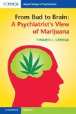 From Bud to Brain: A Psychiatrist's View of Marijuana (eBook, ePUB)