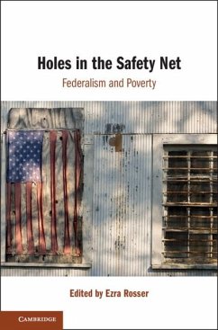 Holes in the Safety Net (eBook, ePUB)