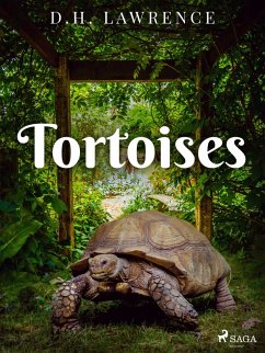 Cover Tortoises (eBook, ePUB)