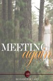 Meeting Again (eBook, ePUB)