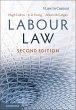 Labour Law (eBook, ePUB) - Bild 1