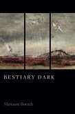 Bestiary Dark (eBook, ePUB)