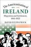 Americanisation of Ireland (eBook, ePUB)