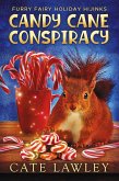 Candy Cane Conspiracy (Lucky Magic) (eBook, ePUB)