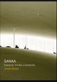 Sanaa (eBook, PDF)