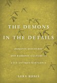 Demons in the Details (eBook, ePUB)