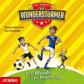 Das Wunder von Hegenwald / Der Wunderstürmer Bd.6 (MP3-Download)