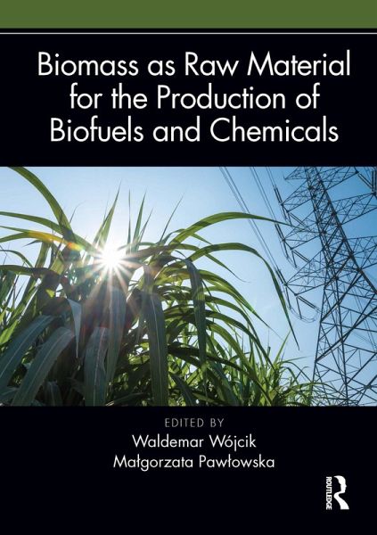 Biomass as Raw Material for the Production of Biofuels and Chemicals (eBook, ePUB)