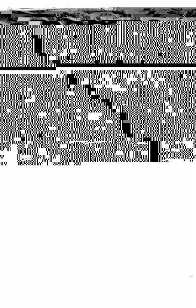 Portfolio Selection (eBook, PDF)