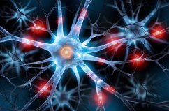 Cover The present science behind getting in shape and getting healthy. What should I eat? (eBook, ePUB)