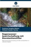 Regenwasser- bewirtschaftung mit Bioretentionsfilter
