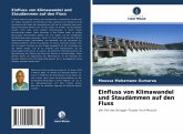 Einfluss von Klimawandel und Staudämmen auf den Fluss