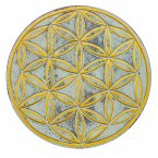 Wandornament &quote;Saat des Lebens&quote; MDF whitewashed/gold bemalt, 20 cm