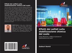 Effetti dei solfati sulla stabilizzazione chimica del suolo - Hamid, GADOURI