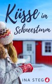 Küsse im Schneesturm (eBook, ePUB)